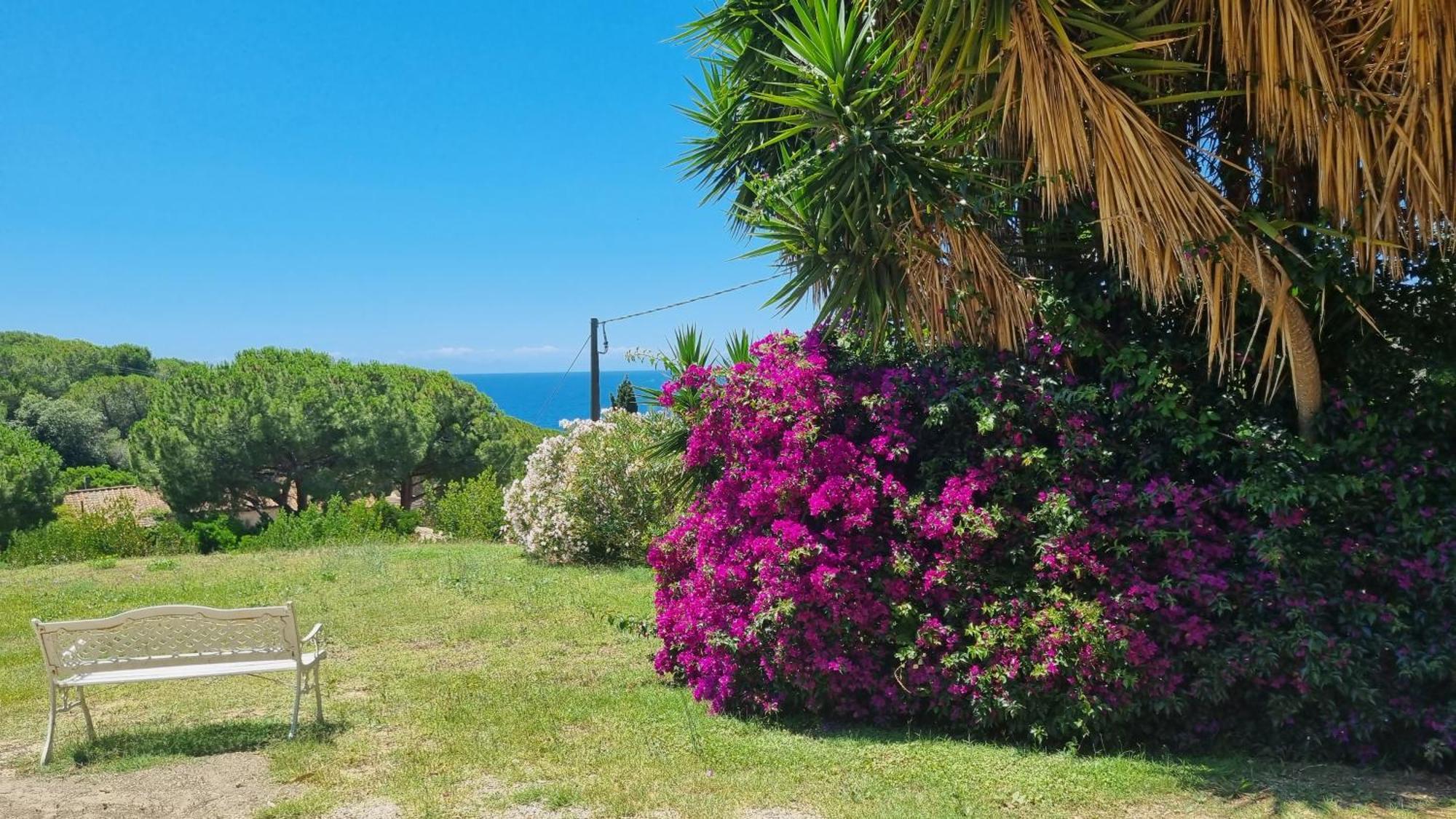 Appartamenti La Conchiglia Capoliveri  Buitenkant foto
